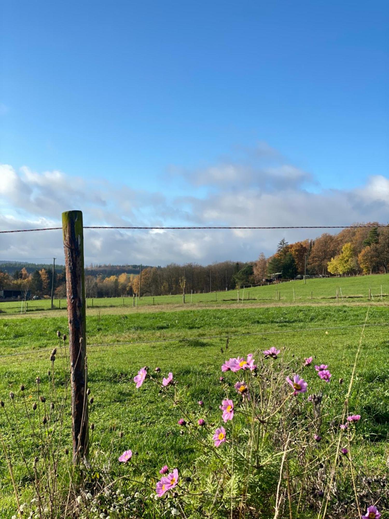 Eifel Ferienhaus Luna Ohlenhard Ngoại thất bức ảnh