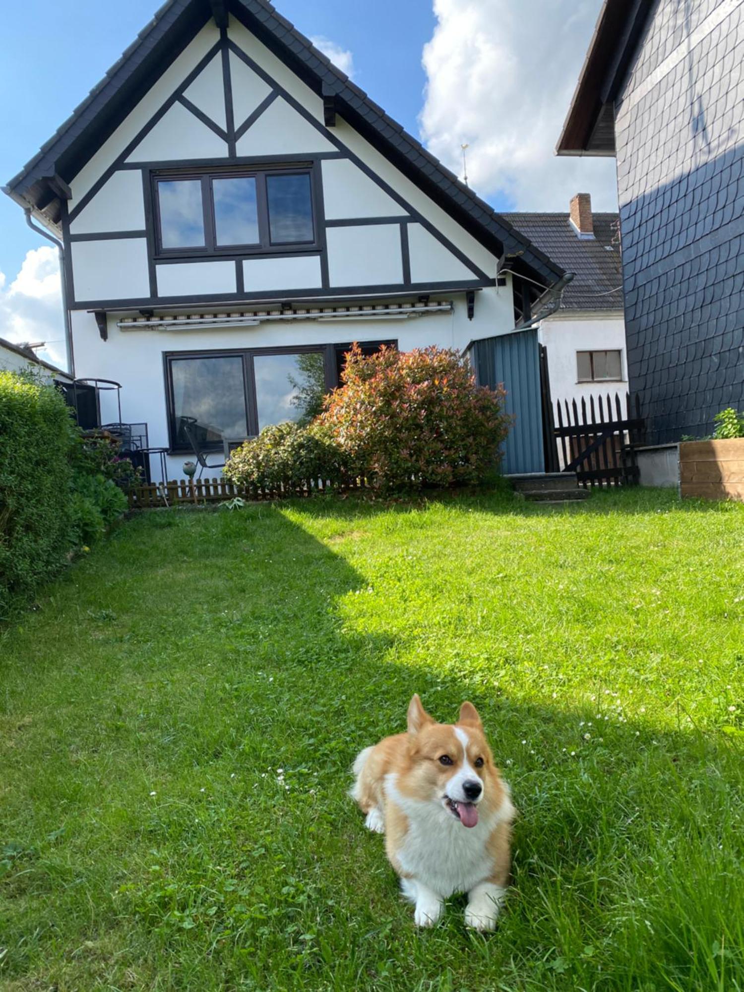 Eifel Ferienhaus Luna Ohlenhard Ngoại thất bức ảnh